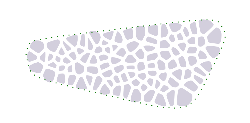 image-shape_inside_cells.png