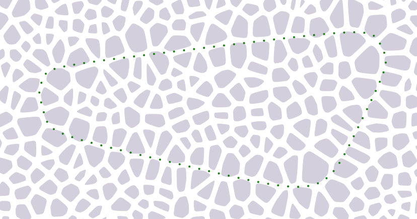 image-shape_all_cells.png